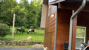 A wooden cabin with a covered porch, a motorcycle parked outside, and two horses grazing in the background. - Dragon's Nest Mountain View (Robbinsville)