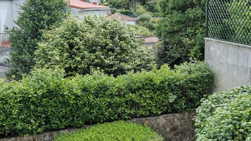 Jardim