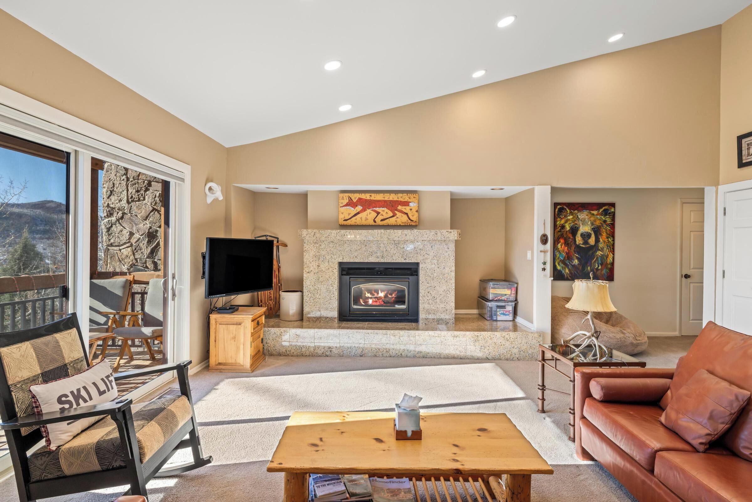TV, fireplace
