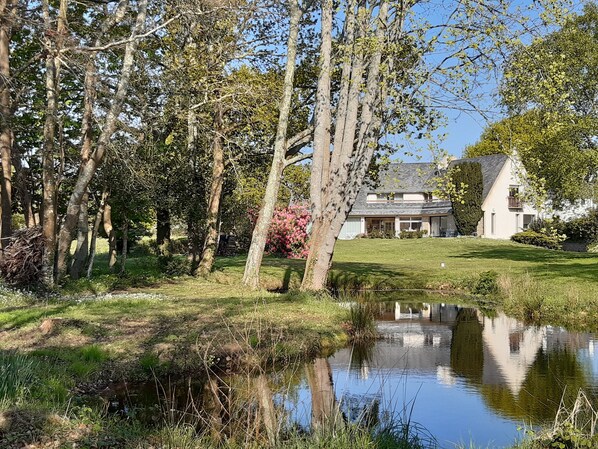 Een huis met een vijver ervoor, omringd door bomen en een gazon.