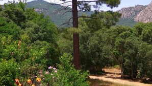 Unclassified image, 4 of 12, button - Garden apartment in the heart of nature 10 min from the beach and 5 min from the river (Conca)