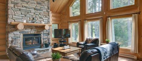 Televisión, chimenea, reproductor de DVD y oficina