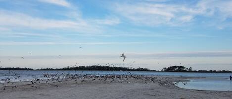 Beach nearby