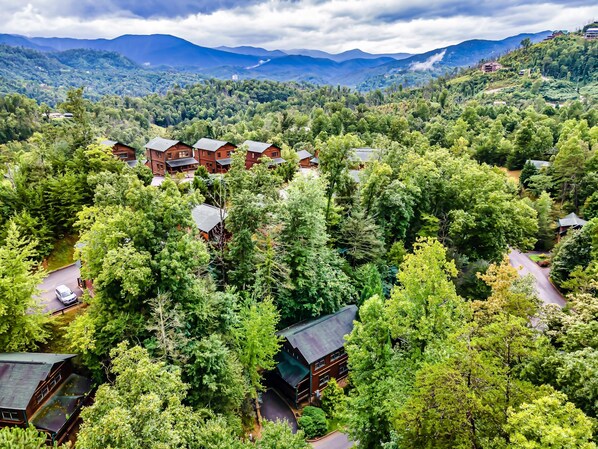 A lodge surrounded by dense forest with multiple buildings and a road.