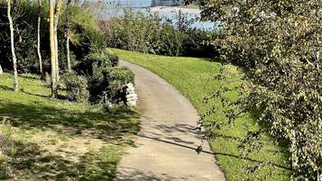 Área da propriedade