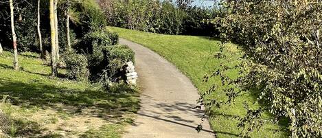Un sendero pavimentado en un parque con árboles y una vista distante de un acantilado imponente.