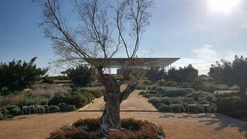 Parco della struttura