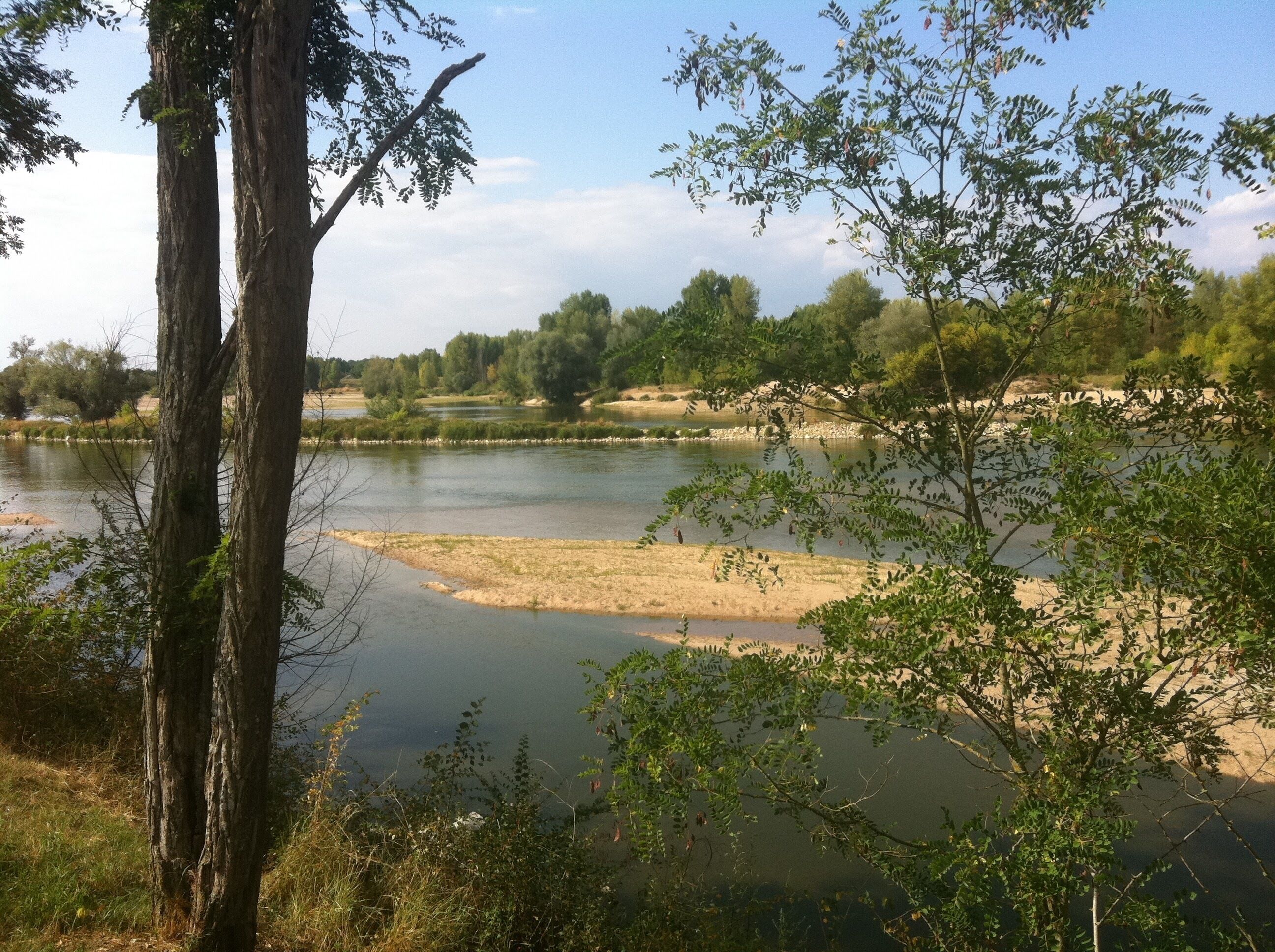 Un río con orilla de arena y árboles en primer plano.