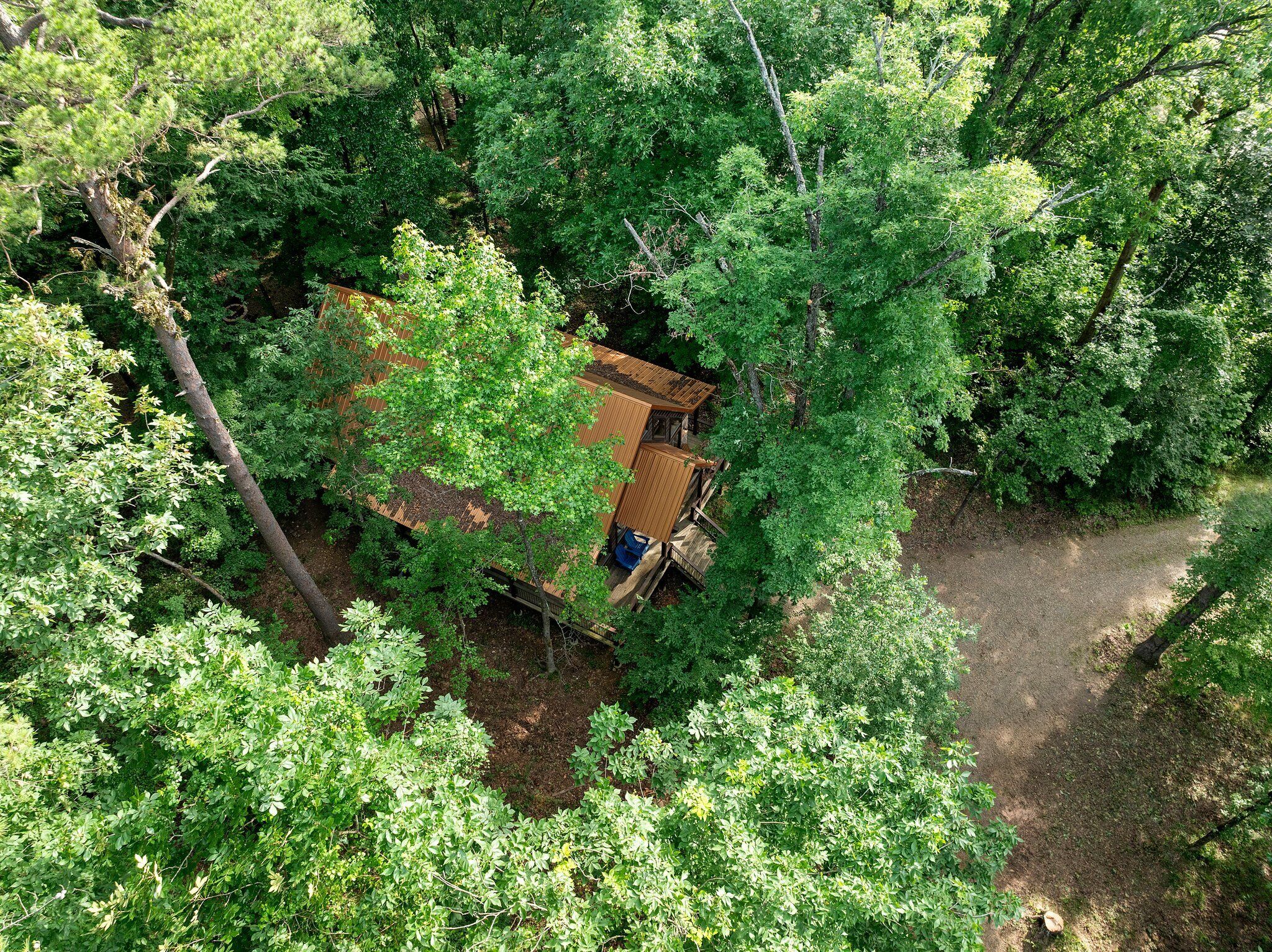 An elevated wooden structure surrounded by dense green foliage.