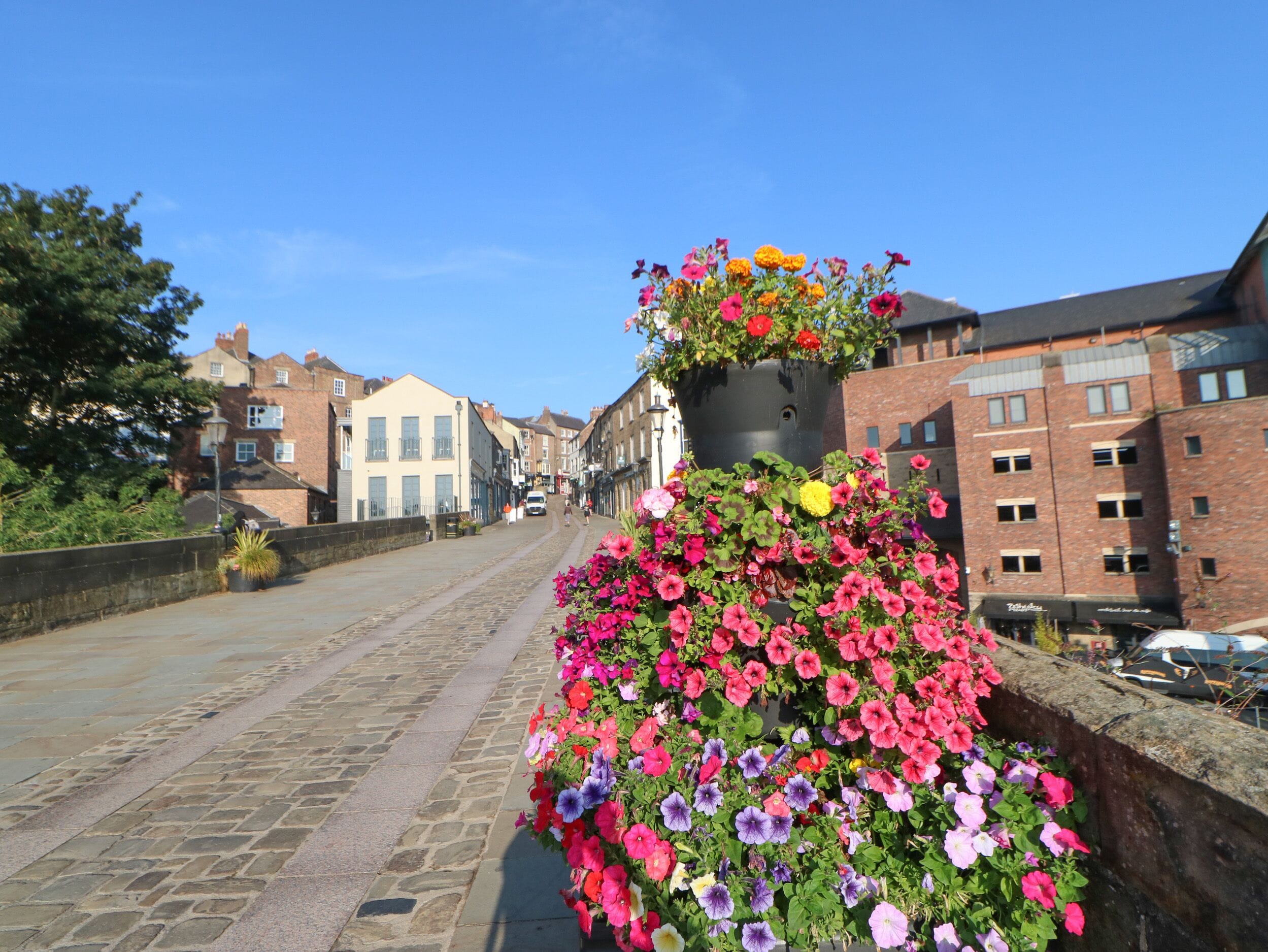 Una calle adoquinada bordeada de edificios, un jardín con diversas flores y un cielo azul despejado.