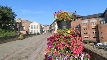 Una calle adoquinada bordeada de edificios, un jardín con diversas flores y un cielo azul despejado.