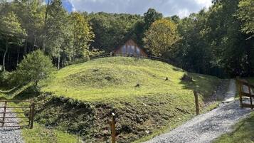 Une maison située sur une colline verdoyante, avec un chemin de gravier menant à l’entrée.