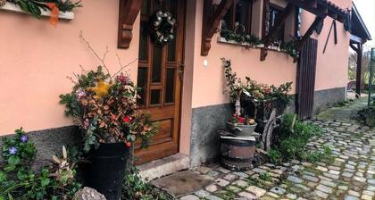 Gßte situé sur la route des vins Strasbourg et Colmar, Gresswiller. Marché Noël