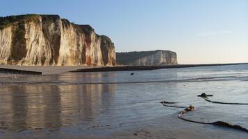 Accommodatie ligt op het strand, ligstoelen