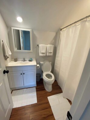 Combined shower/tub, hair dryer