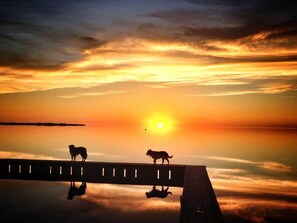 Photo non classée, 3 sur 38, bouton