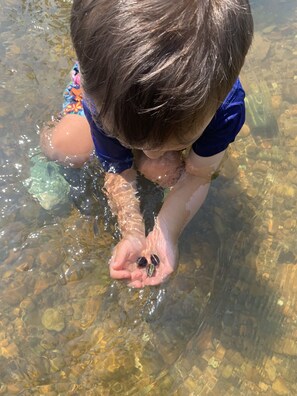 Ein Kind hält ein kleines Objekt in klarem Wasser.