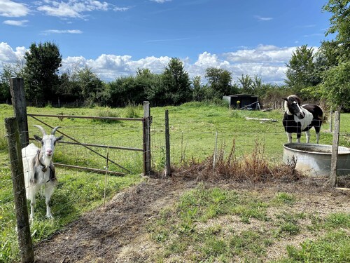 Gîte Le Plessis/ class 3***