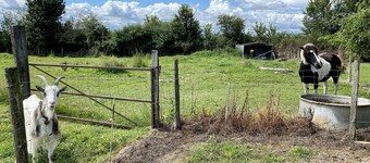 Gîte Le Plessis/ class 3***