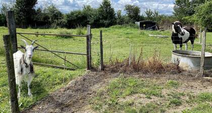 Gîte Le Plessis/ class 3***