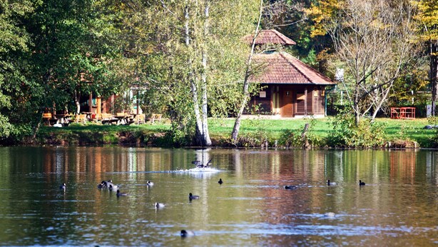 A lake with ducks swimming, surrounded by trees and a building with a red roof.