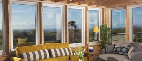 Smart-tv, eldstad, böcker och en stereo