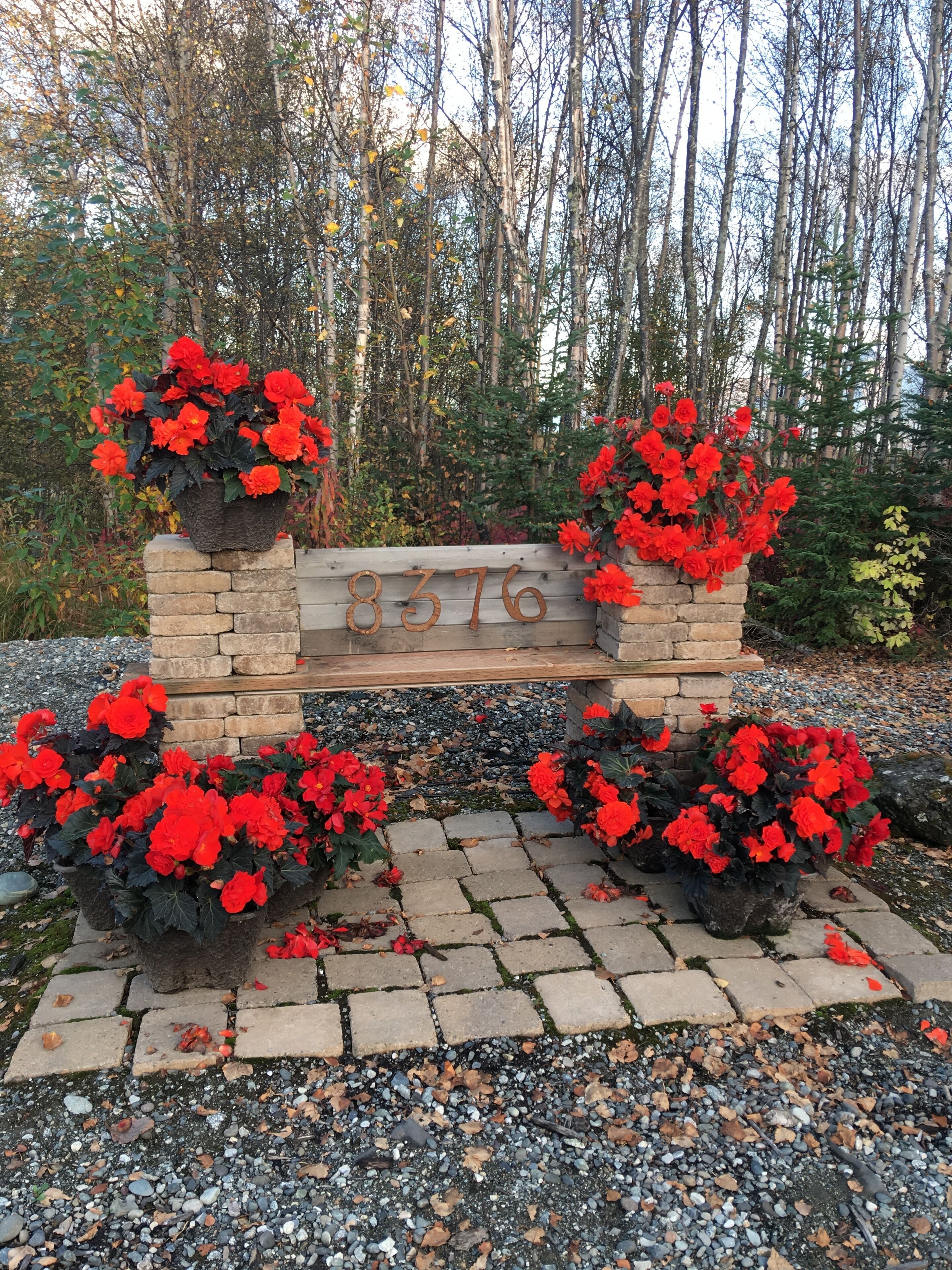 A stone bench with a metal plaque, surrounded by red flowers and a gravel path.