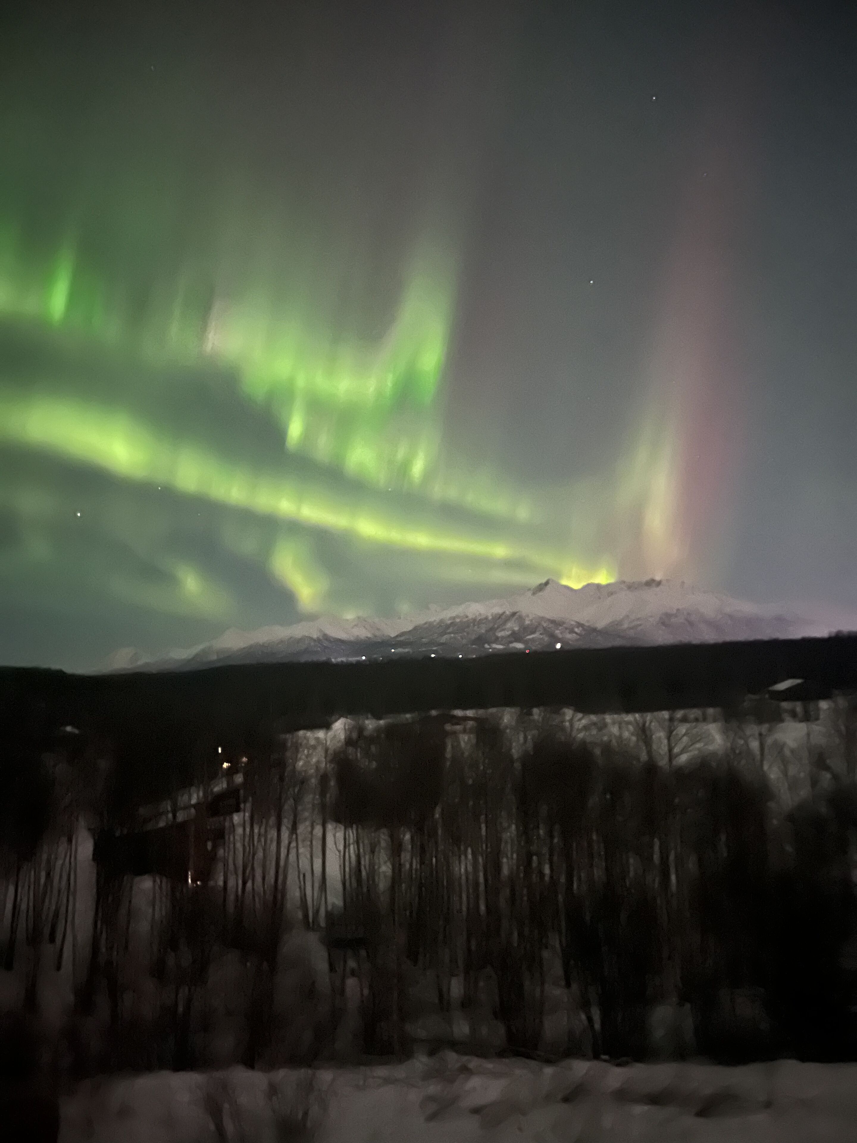 A snowy mountain with a forest in the foreground and the aurora borealis in the sky.