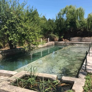 A clear rectangular water feature surrounded by greenery and trees. - Villa in Drôme Provençale - 7 bedrooms - 350 m² - Swimming pool (Tulette)