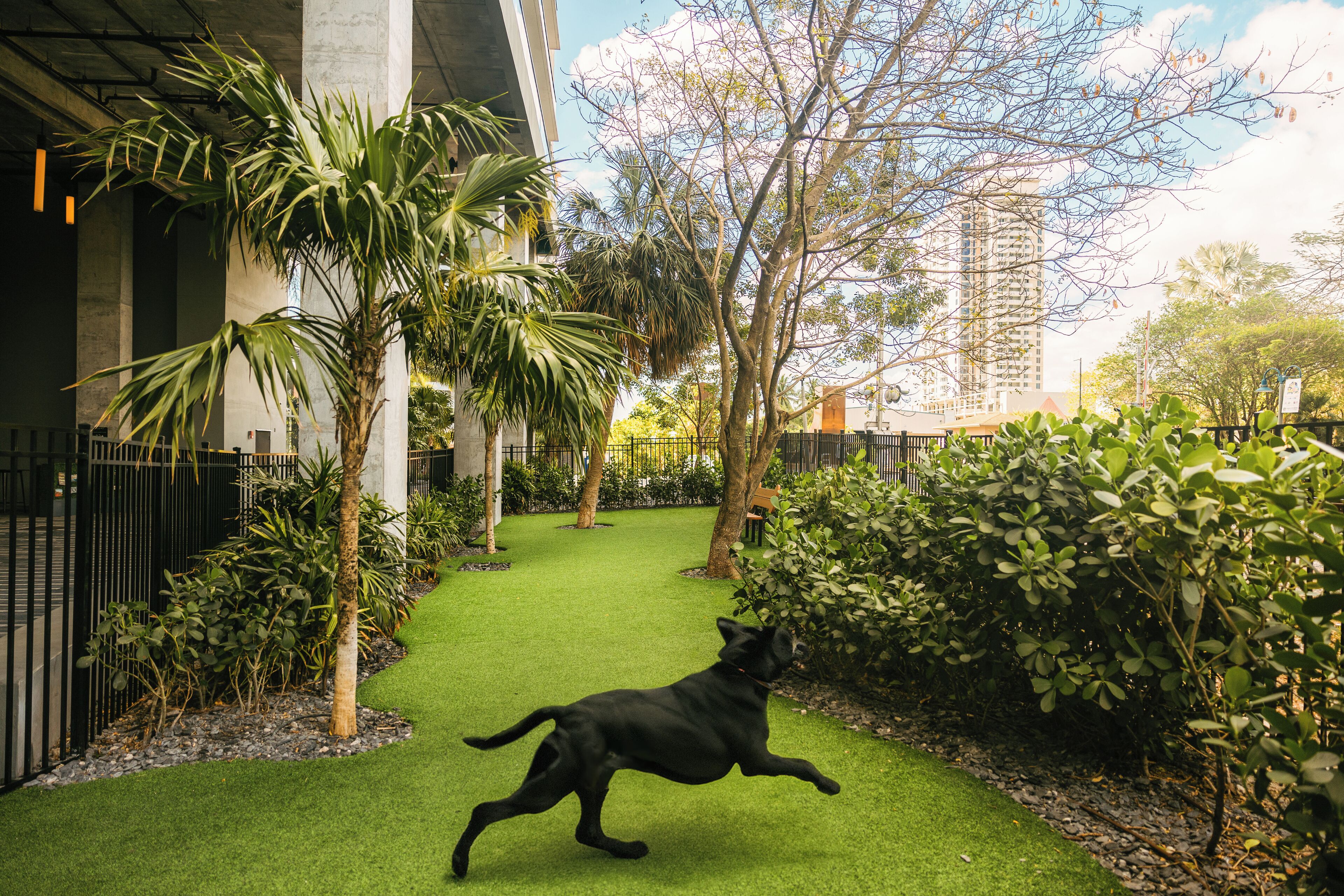 Photo - Flow Fort Lauderdale Hotel
