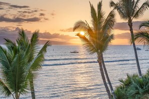 A sunset view with palm trees and calm sea.