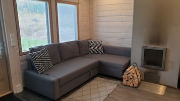 Smart TV, fireplace, books