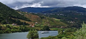 Aerial view - Vineyards Valley House (Penajóia)