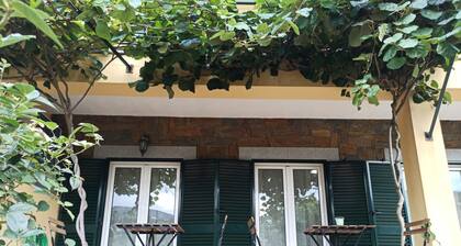 Vineyards Valley House