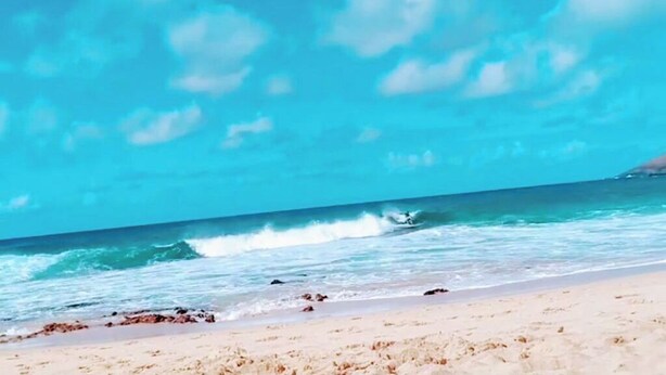 A beach with clear skies and waves. - Hawaiian Princess Paradise (Honolulu)