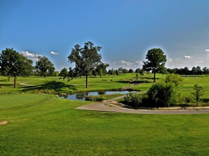 Golf - Family Condo on the Course near Branson Landing (Branson)