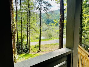 Vista desde la propiedad