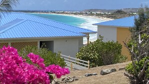 Vista costera con playa, un edificio de techo azul y flores rosadas en primer plano.