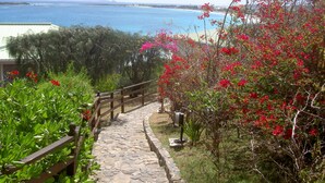 Un sendero de piedra que conduce a una playa, con una valla de madera y plantas con flores rojas.