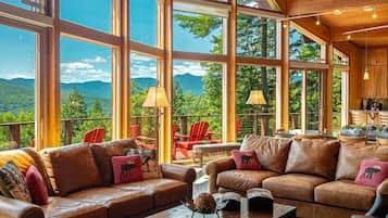 TV connectée, cheminée, livres