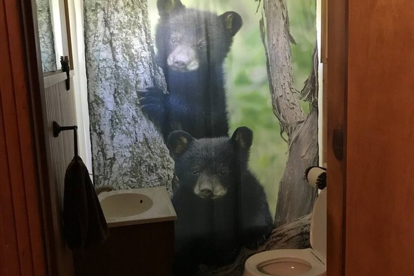 Een bad/douchecombinatie, handdoeken, zeep, toiletpapier