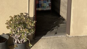 A registration area with a sign above the door, a small plant, and a display of travel brochures inside.