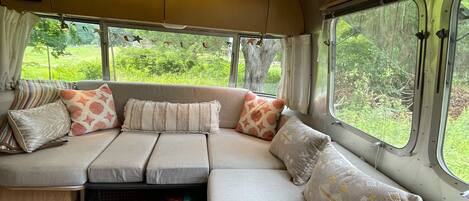 Smart TV, fireplace, DVD player, books