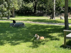 Property grounds