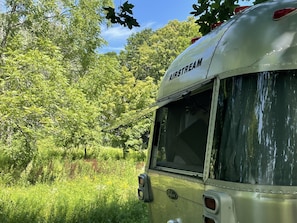 Property grounds - Living the Dream Airstream (Eliot)