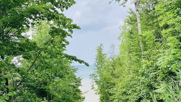 Un sentier de terre bordé d’une végétation luxuriante et verdoyante, qui s’étend jusqu’à un horizon lointain.