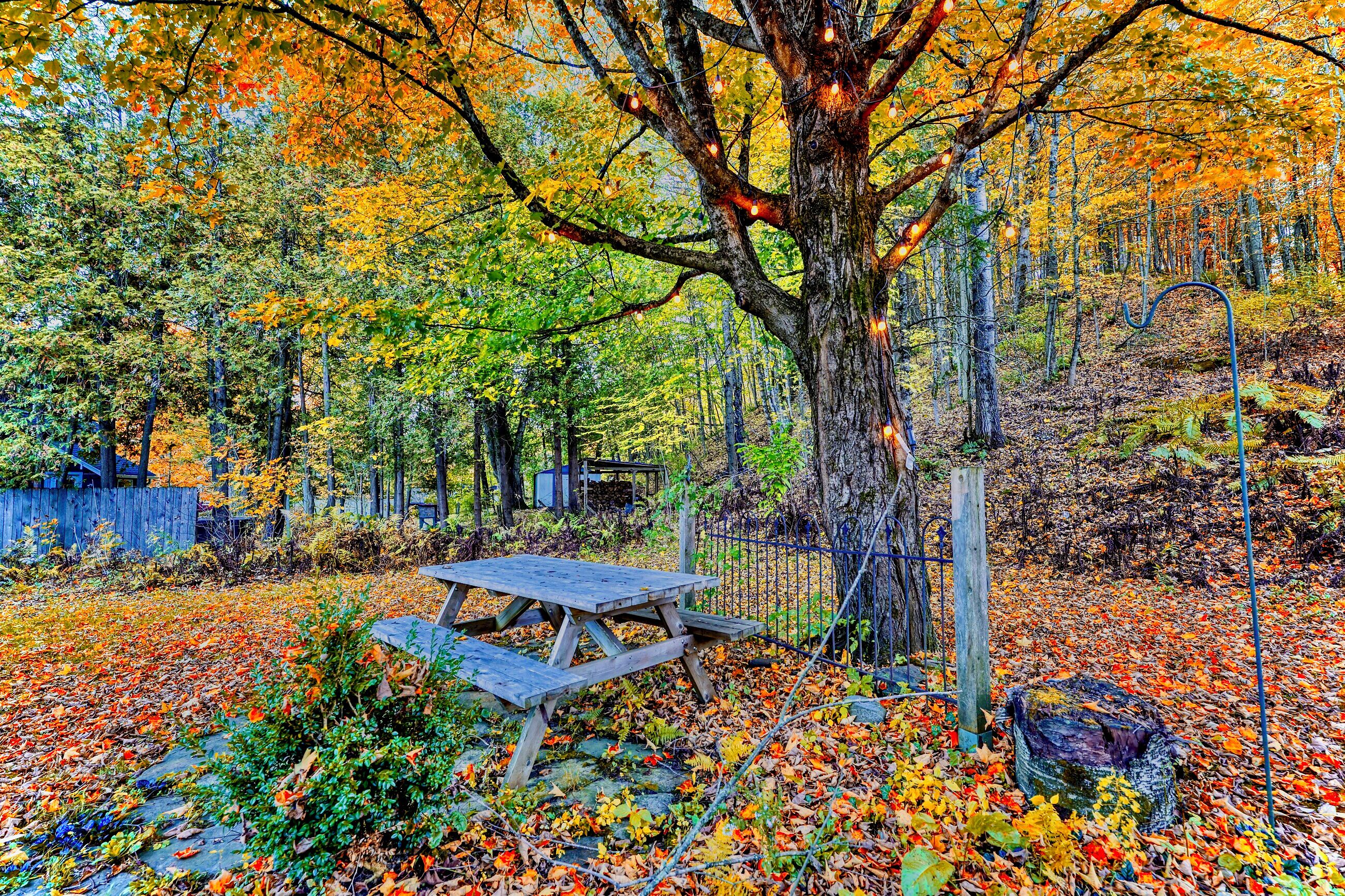 屋外ダイニングエリア