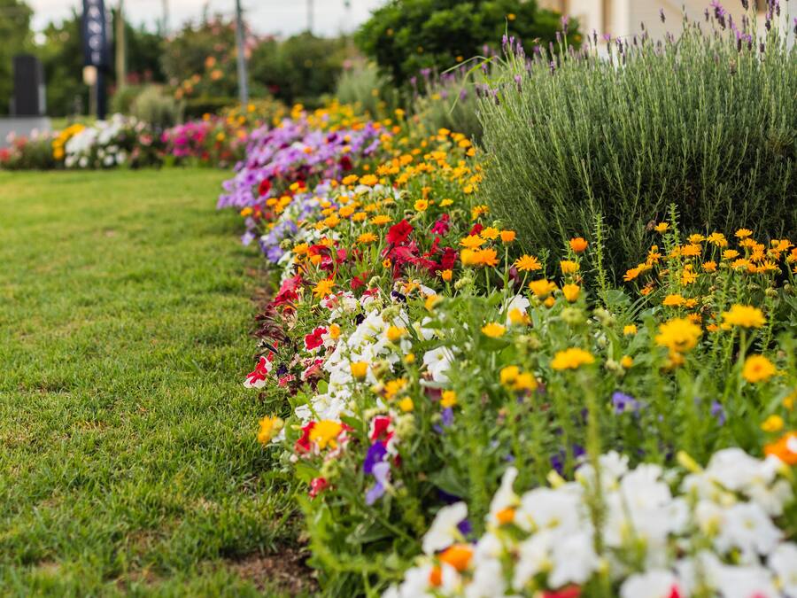 Vista frontal de la propiedad