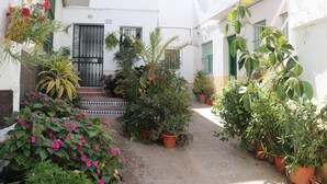 A narrow courtyard with potted plants and a small staircase leading to a door.