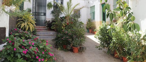A narrow courtyard with potted plants and a small staircase leading to a door.
